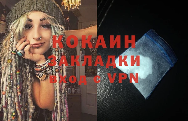 дурь Бородино