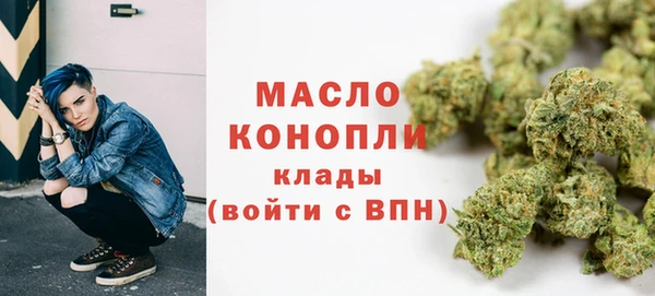дурь Бородино
