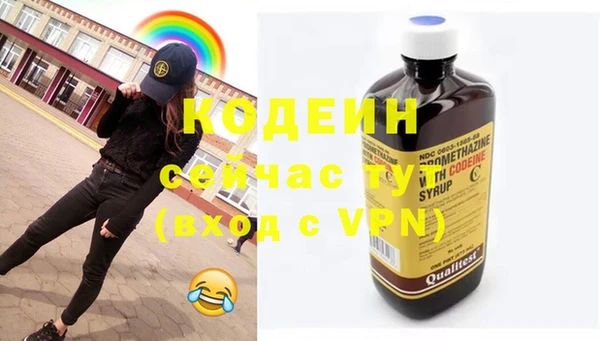 дурь Бородино