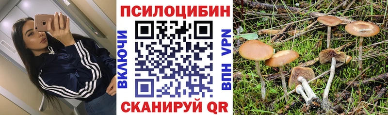 Псилоцибиновые грибы ЛСД ОМГ ОМГ Ногинск